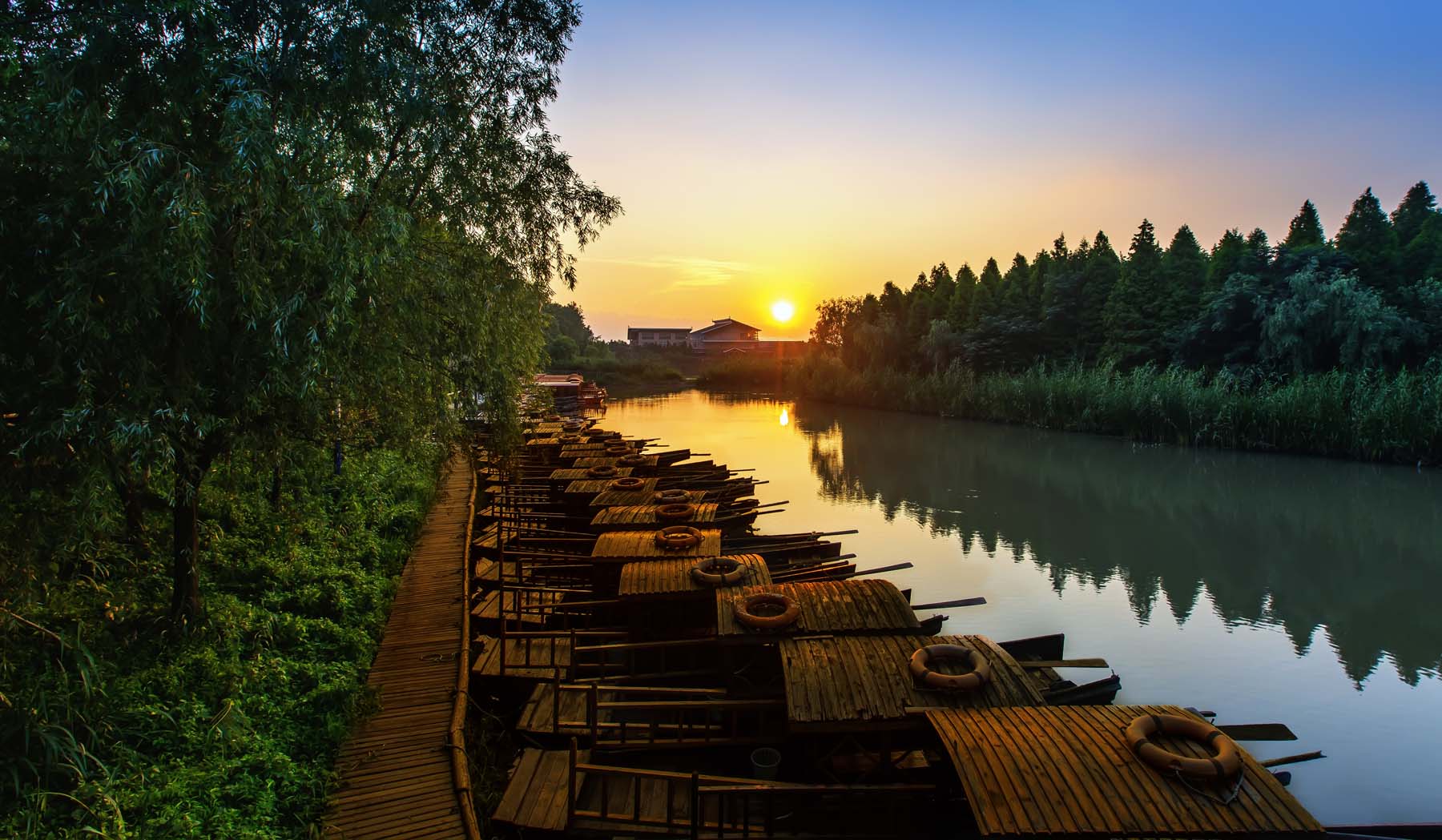 江苏泰州：溱湖湿地秋景如画-搜狐大视野-搜狐新闻